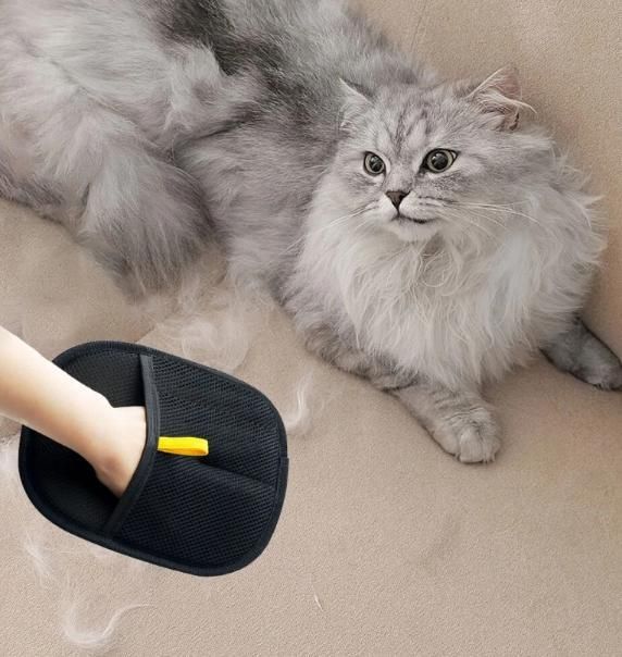 Pawsitive Fur Remove